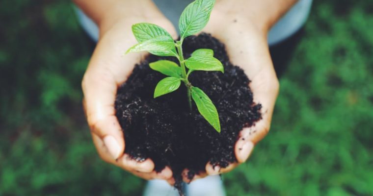 The Secret Life of Soil and Its Impact on Our Health